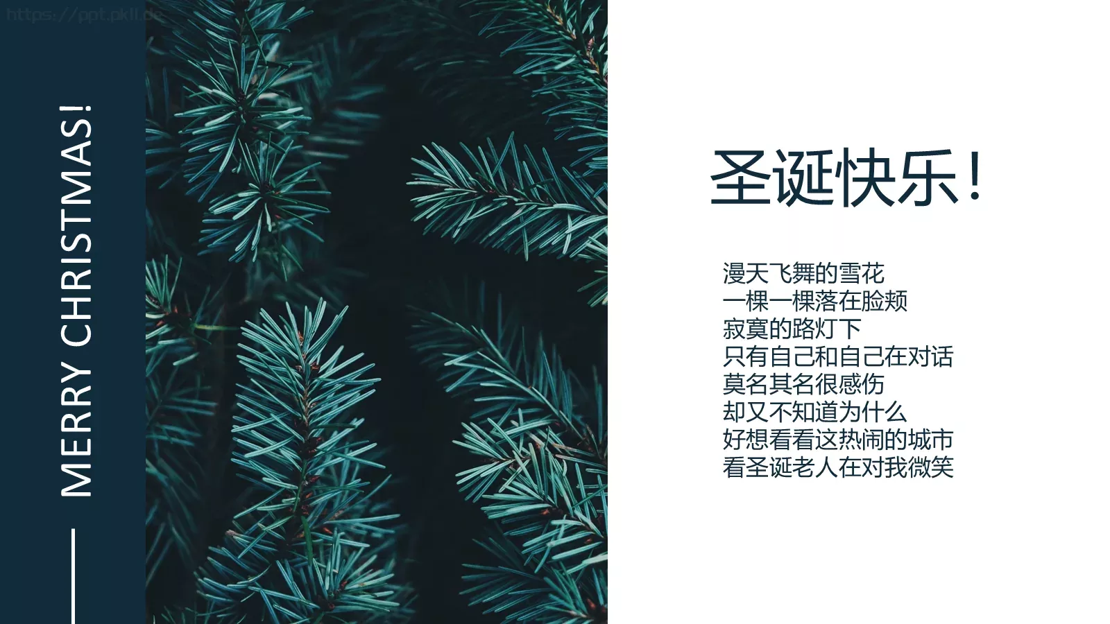 圣诞节汇报PPT模板 第 20 页预览图