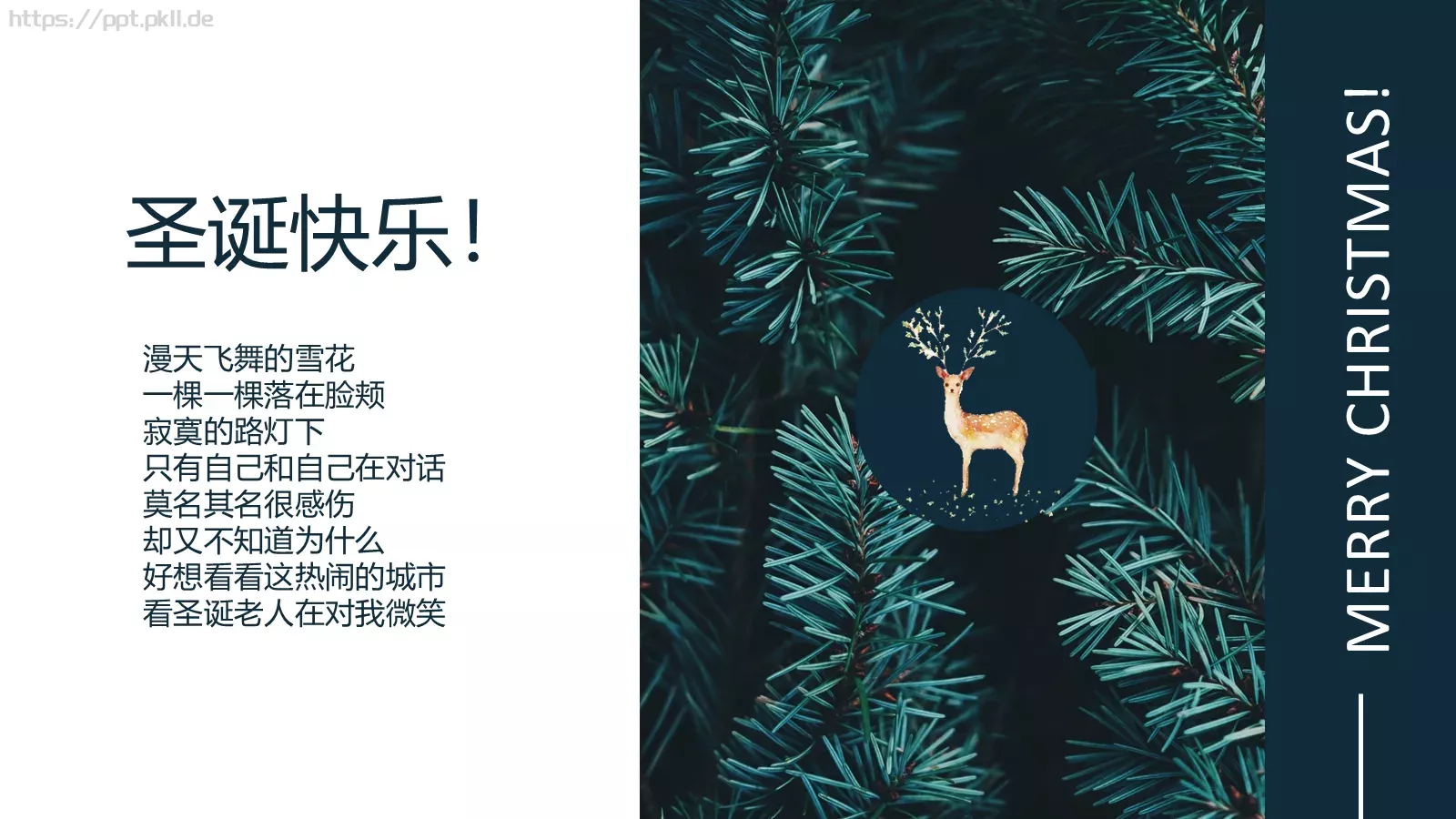 圣诞节汇报PPT模板 第 21 页预览图