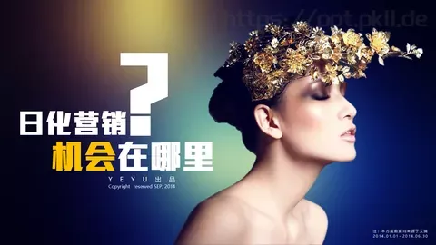 艾瑞数据来源说明PPT模板 缩略图
