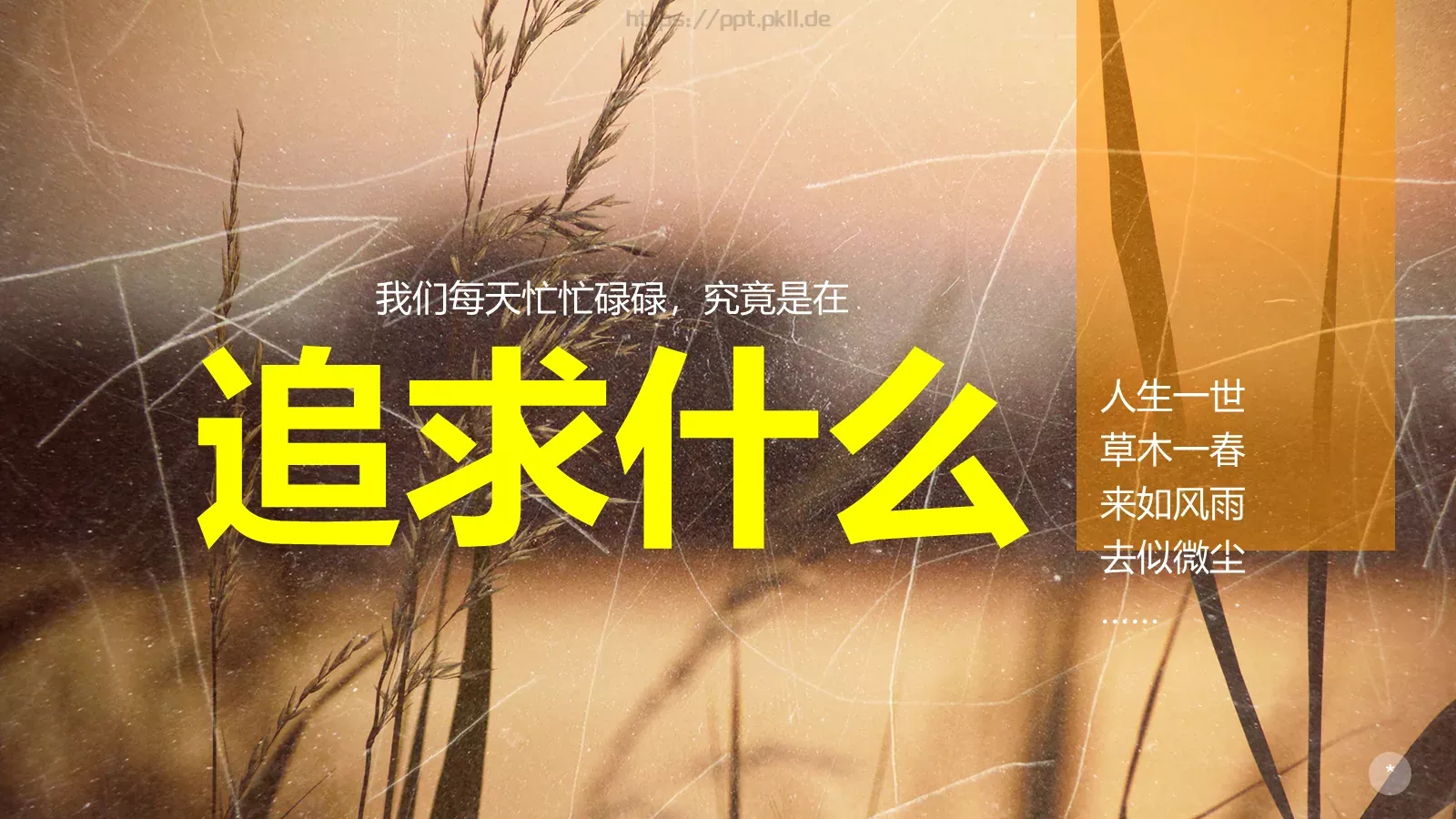 布衣公子通用模板 第 10 页预览图