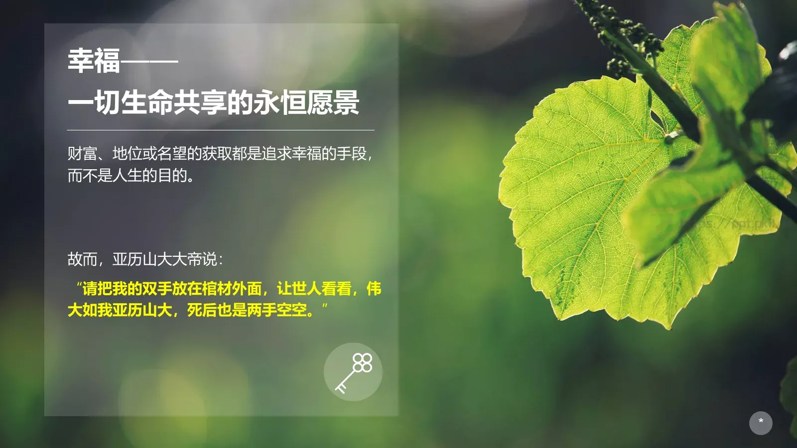 布衣公子通用模板 第 13 页预览图