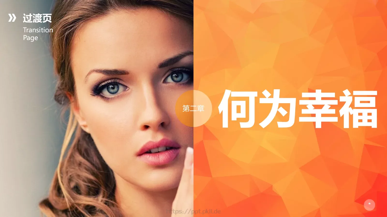 布衣公子通用模板 第 15 页预览图