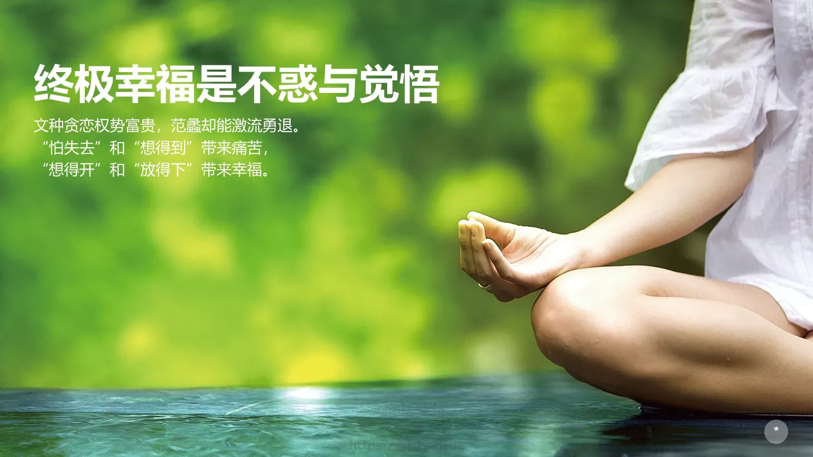 布衣公子通用模板 第 22 页预览图