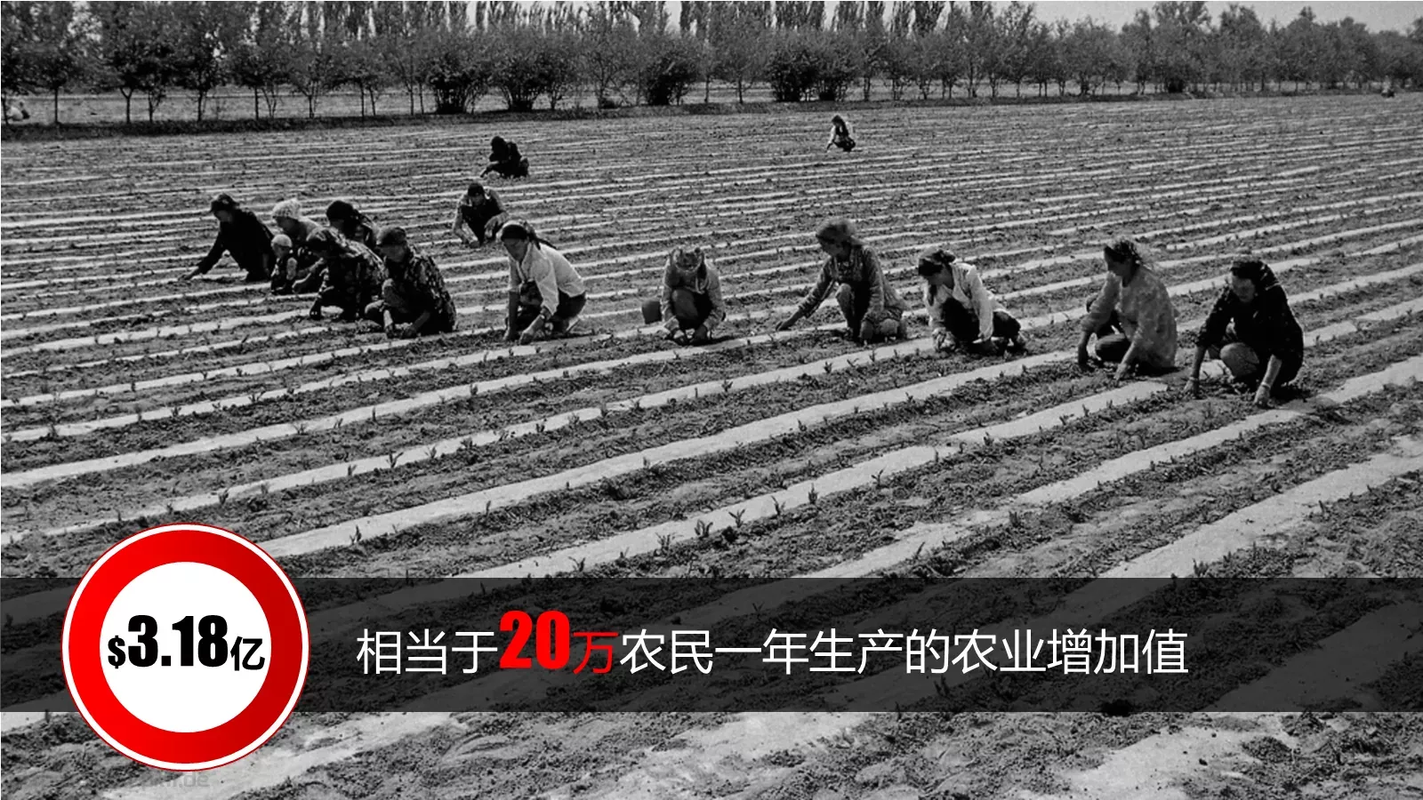 姚明的收入分析PPT模板 第 8 页预览图