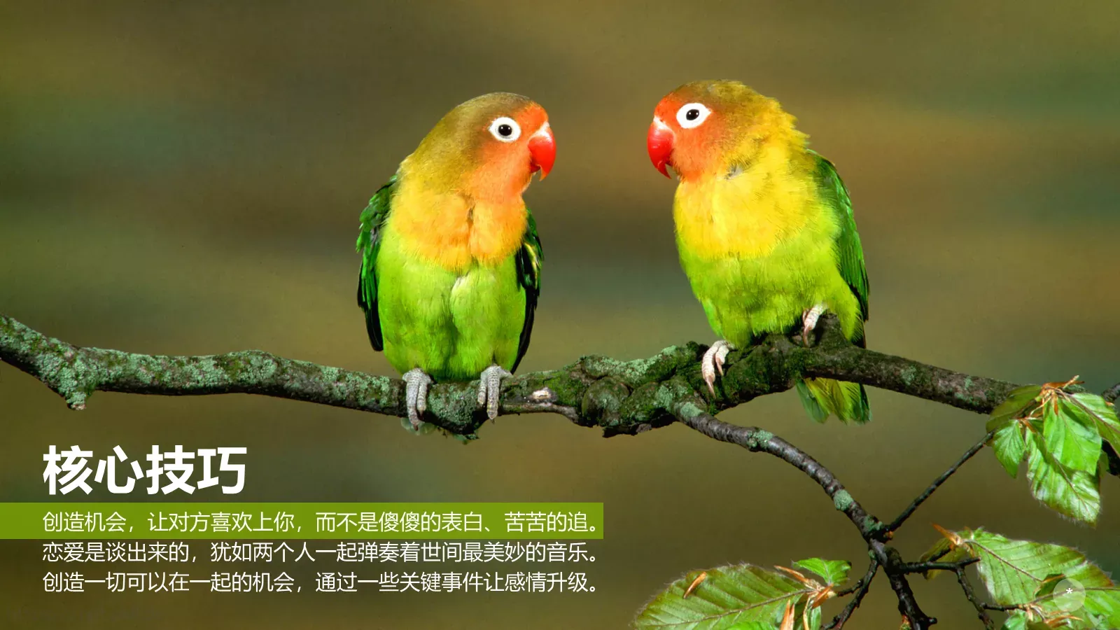 该怎么办通用模板 第 31 页预览图