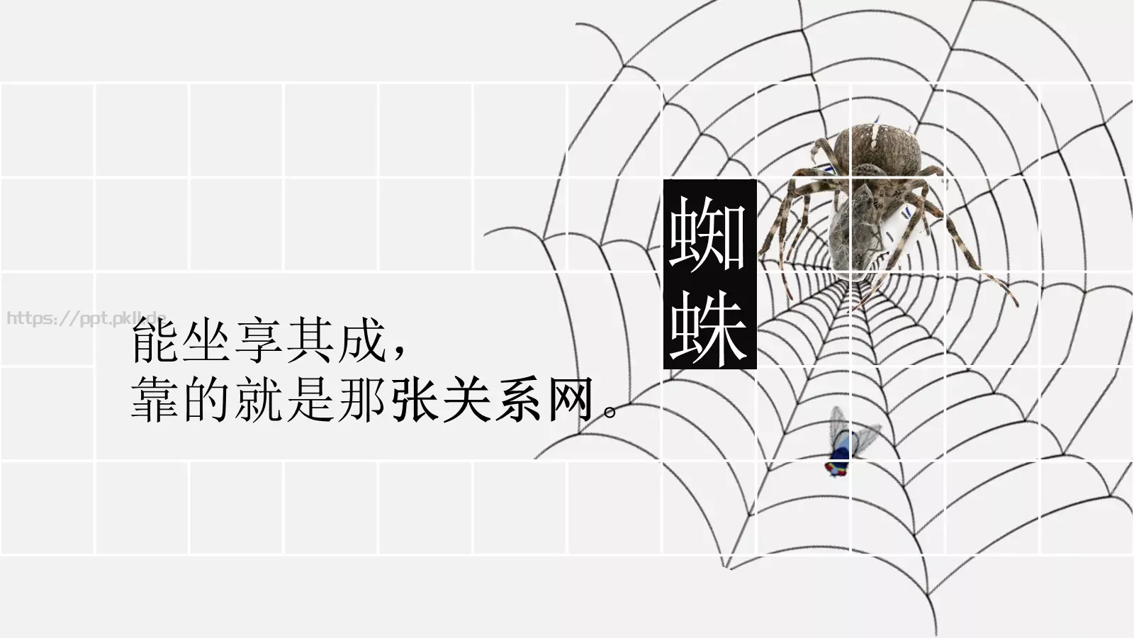 妙手回春通用模板 第 2 页缩略图