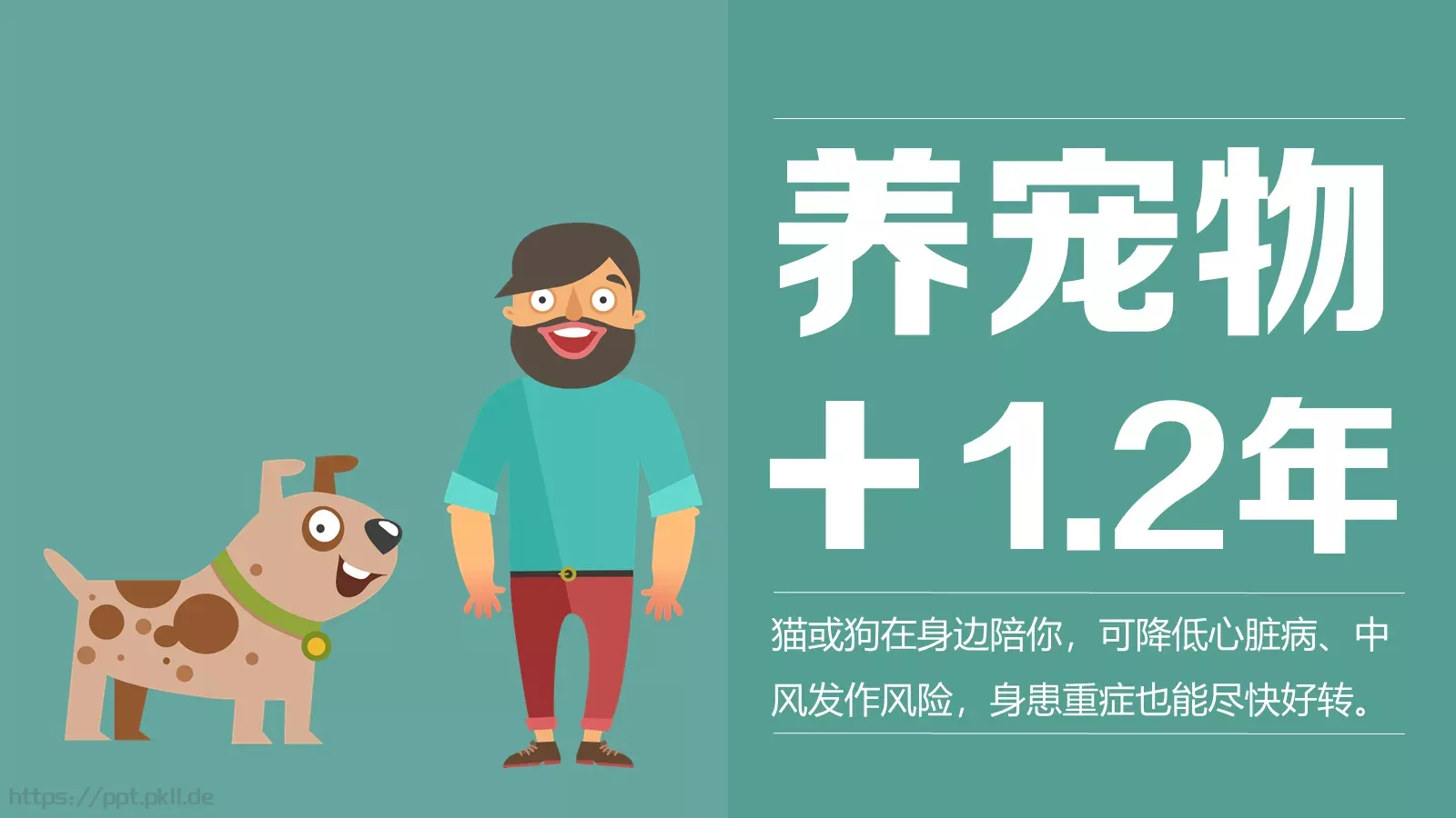 体育运动通用PPT模板 第 12 页预览图