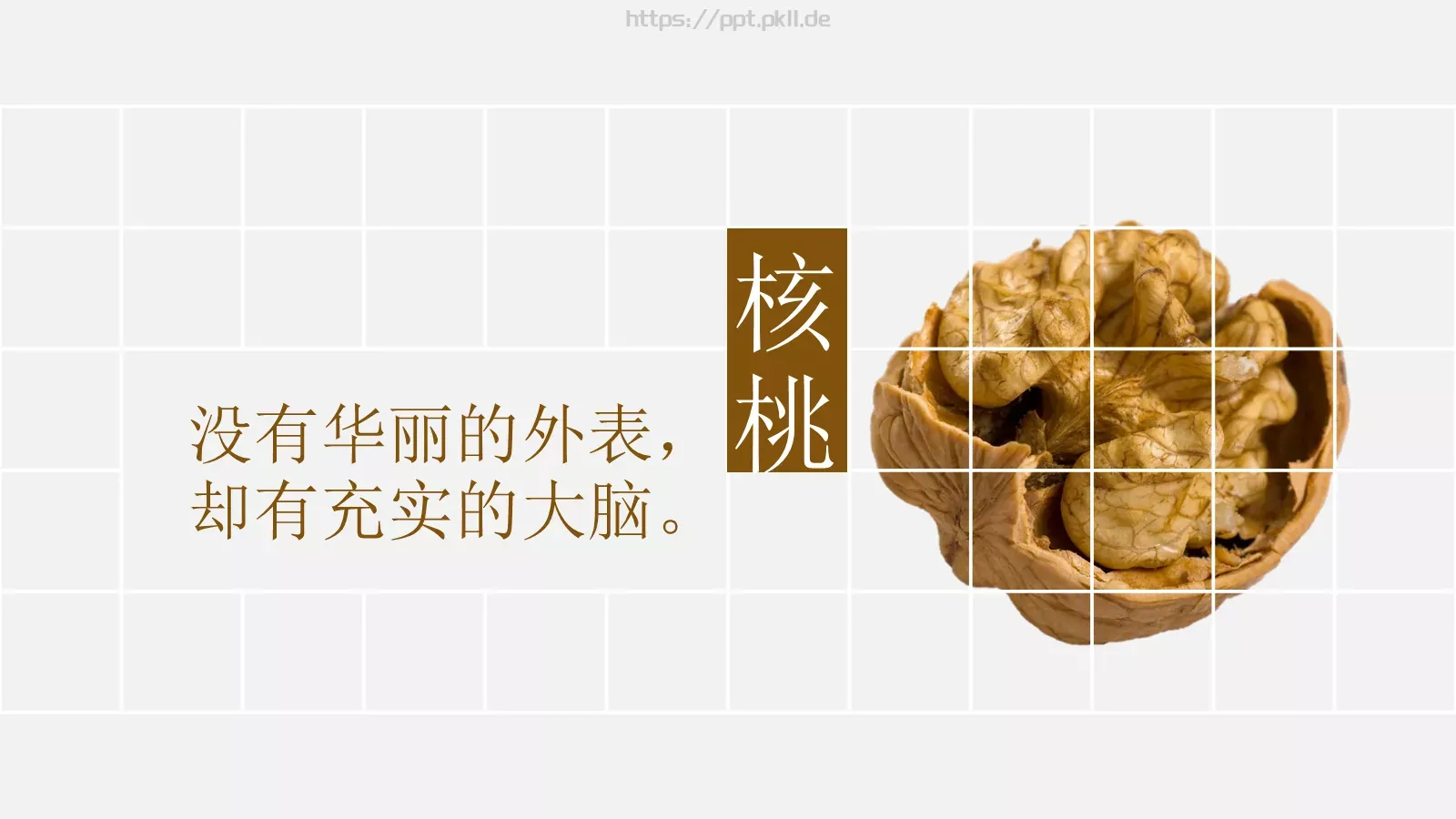 哲理通用PPT模板 第 6 页预览图