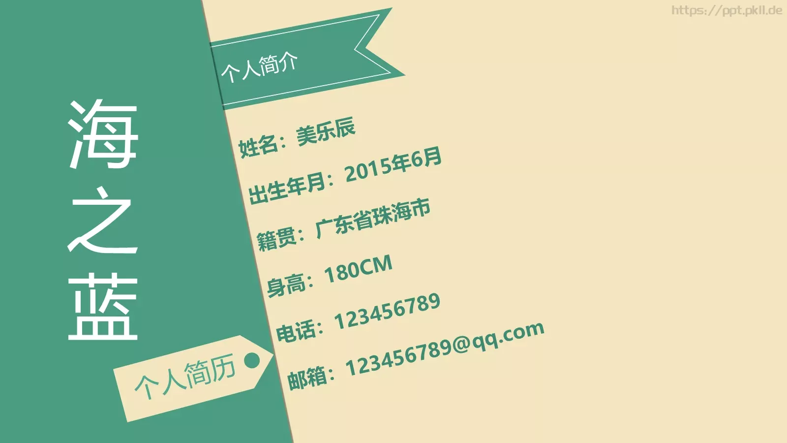 个人简历求职模板 第 2 页缩略图