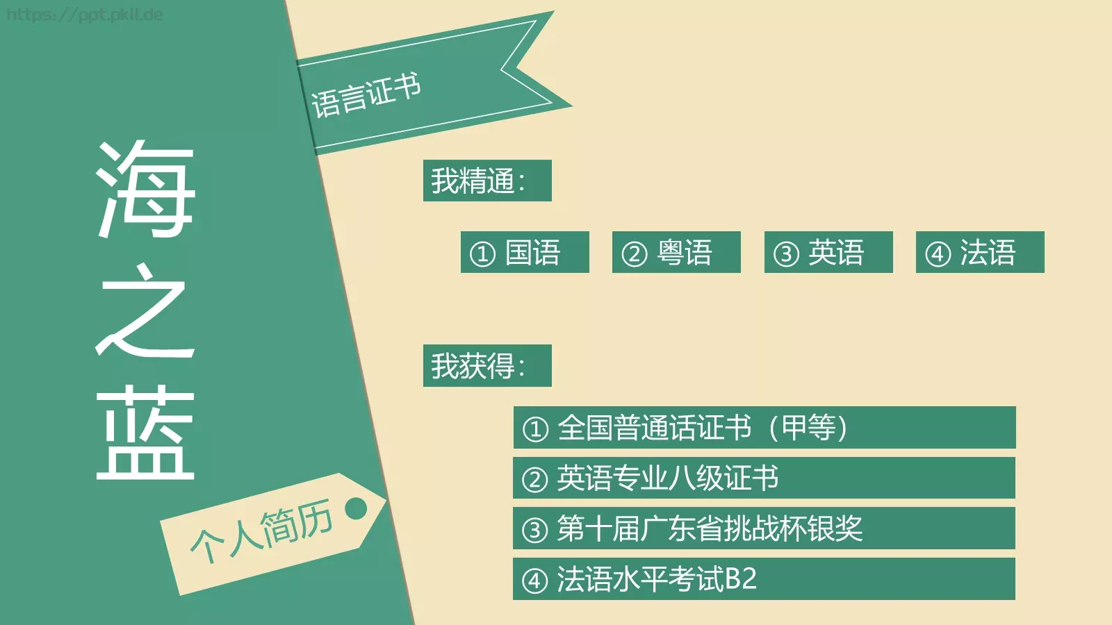 个人简历求职模板 第 5 页预览图