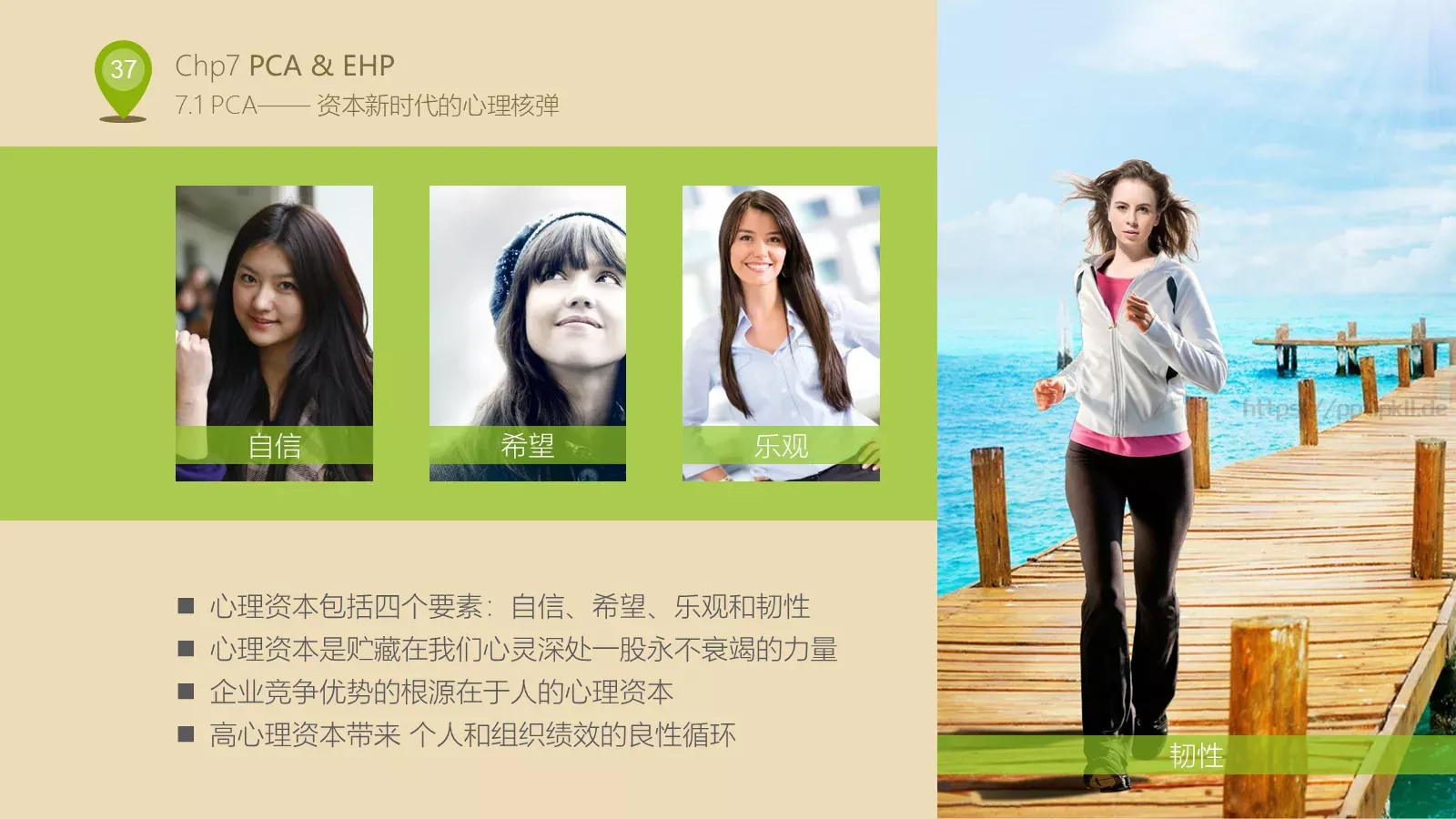 人力资源部内训PPT模板 第 37 页预览图