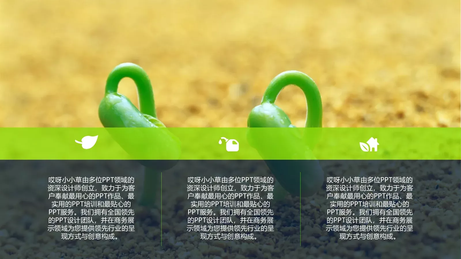 绿色环保健康主题PPT模板 第 3 页缩略图