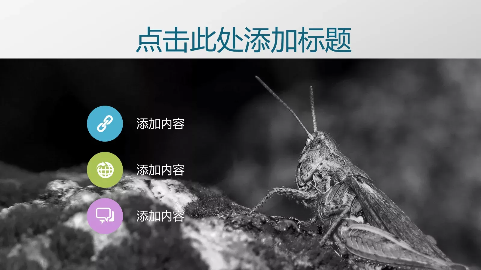 通用PPT模板 第 4 页缩略图