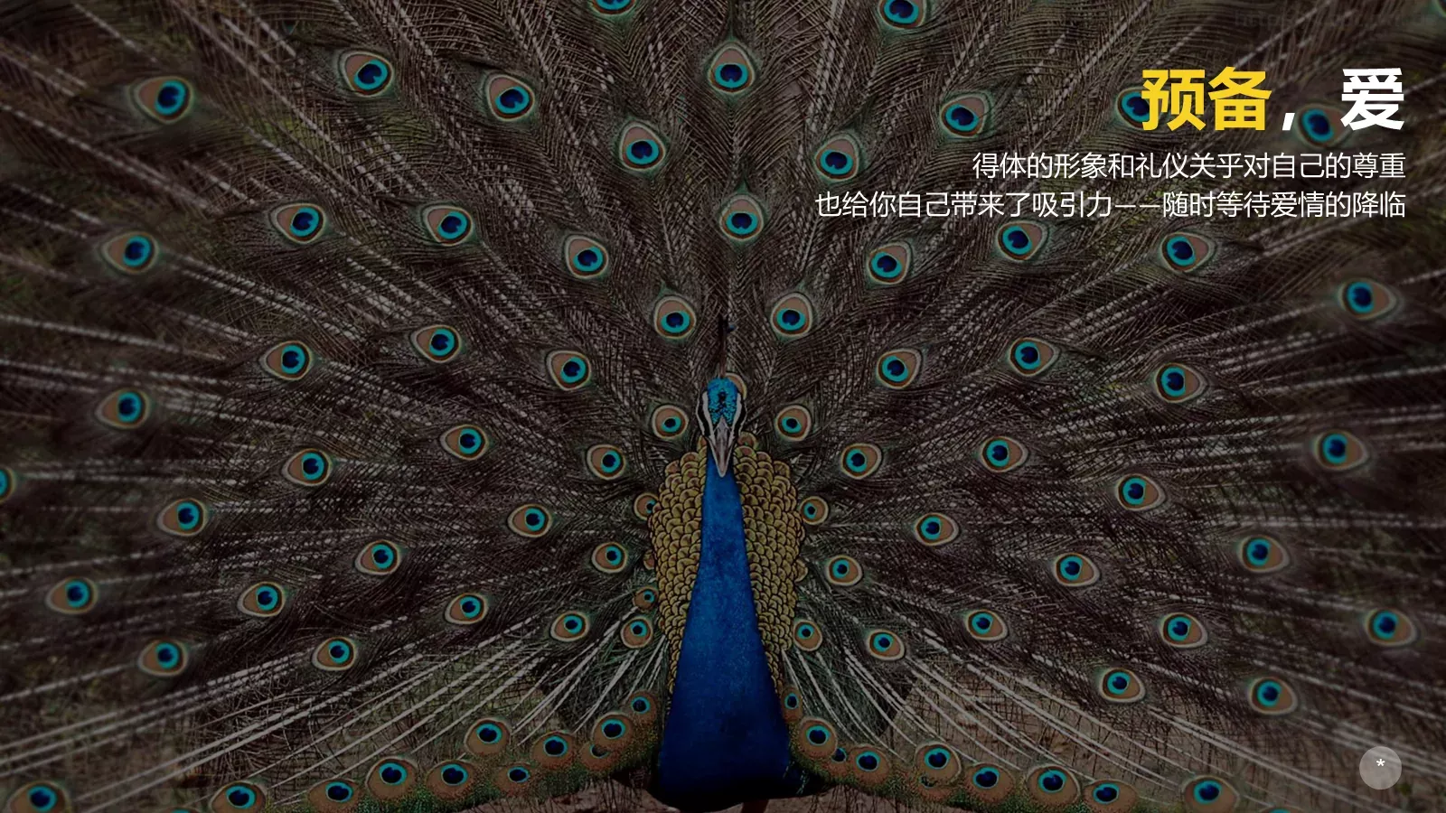通用模板该怎么办 第 27 页预览图