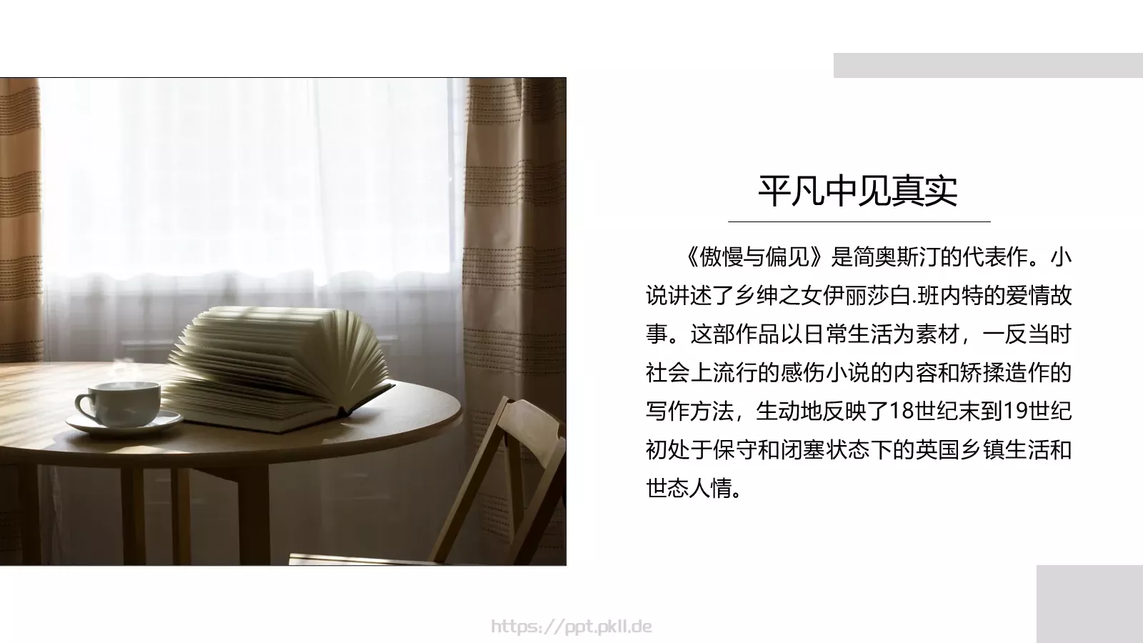 《傲慢与偏见》名著导读读后感PPT模板 第 5 页预览图