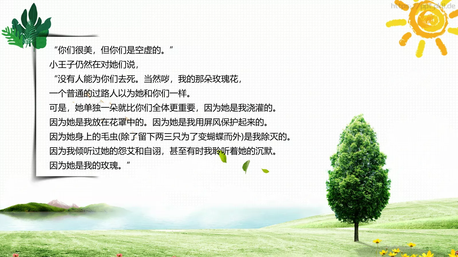 《小王子》读书笔记PPT模板 第 12 页预览图