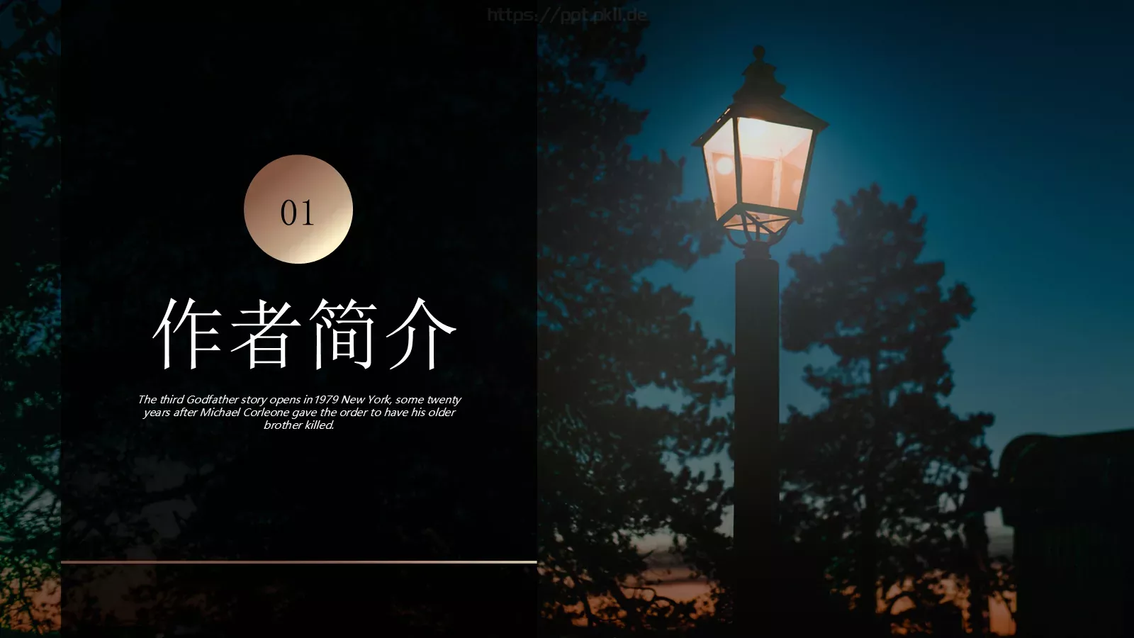 《教父》读书笔记PPT模板 第 3 页缩略图