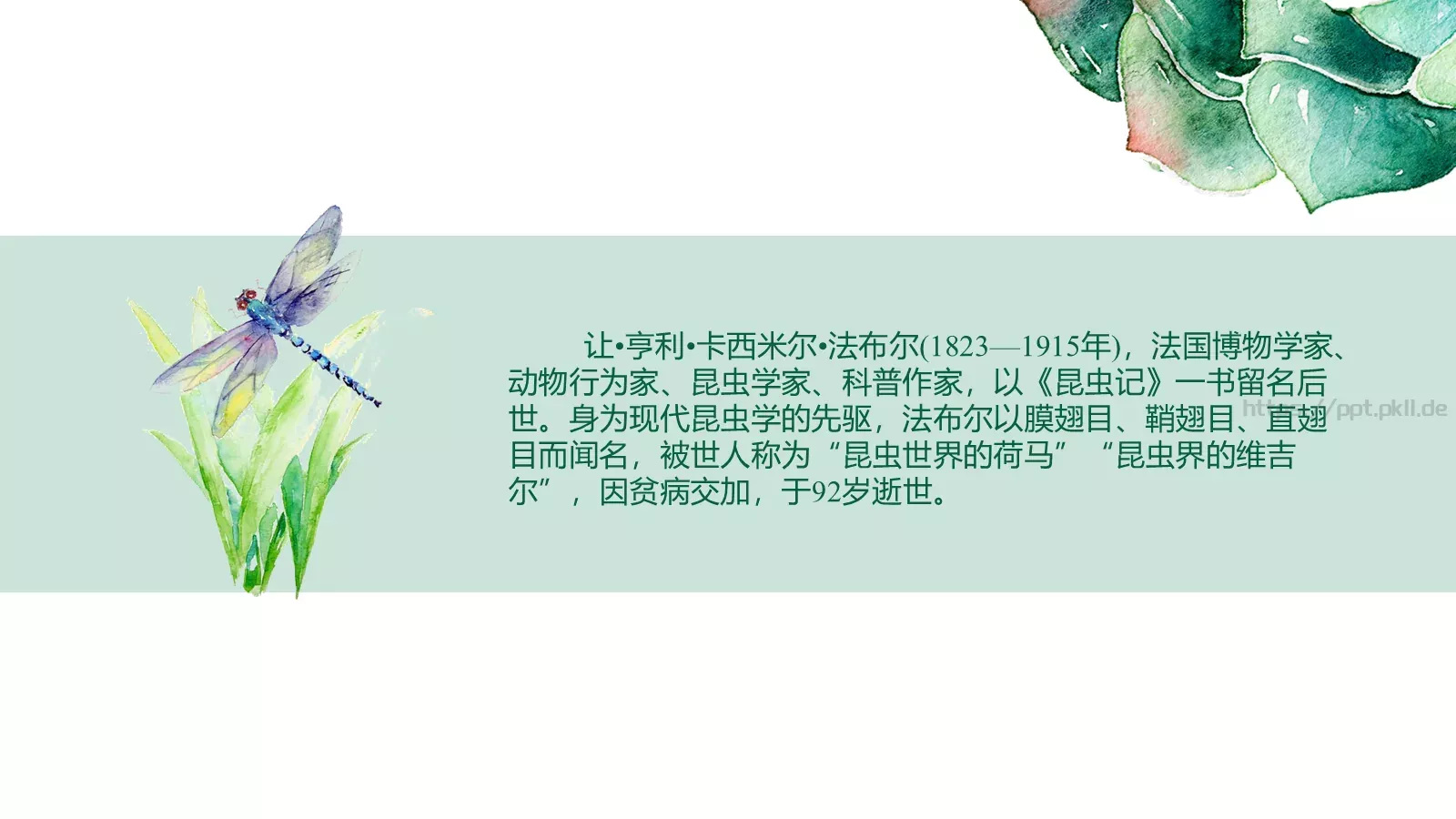 读书分享PPT模板 第 4 页缩略图