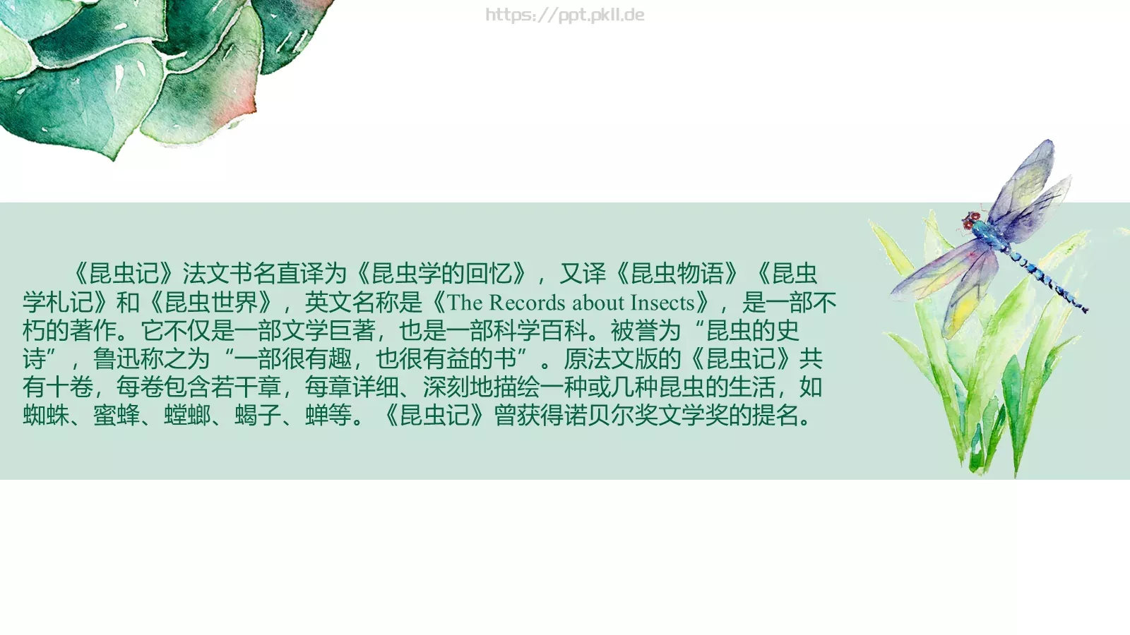 读书分享PPT模板 第 5 页预览图