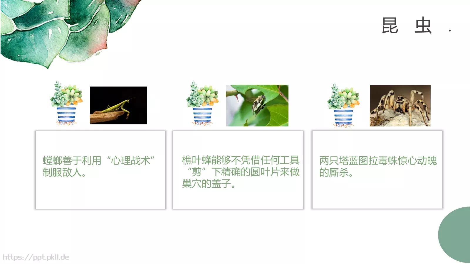 读书分享PPT模板 第 9 页预览图