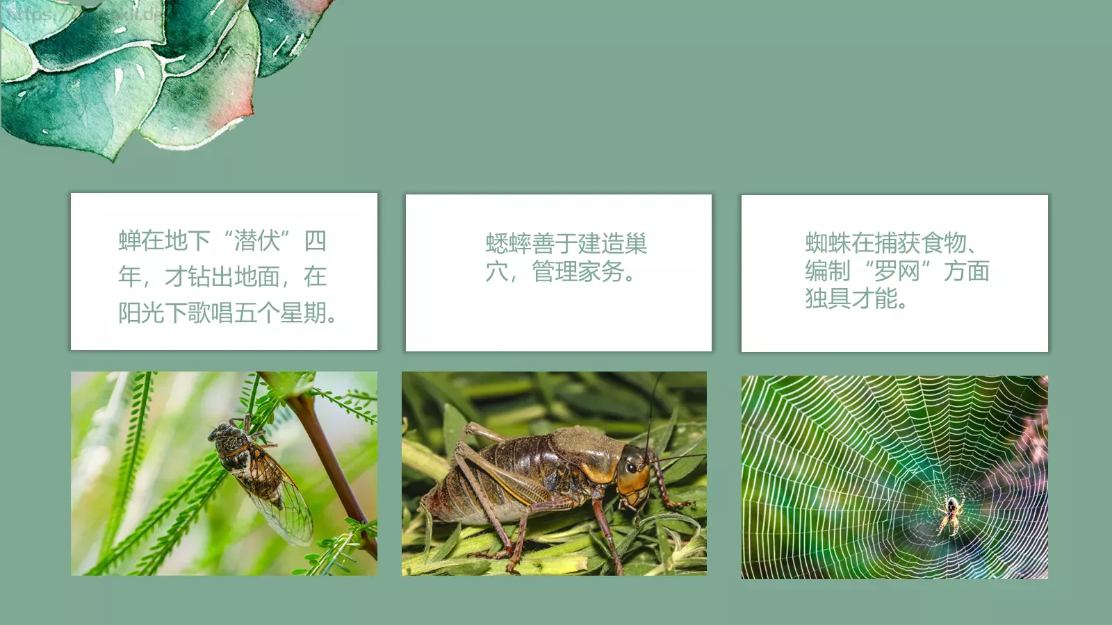 读书分享PPT模板 第 8 页预览图