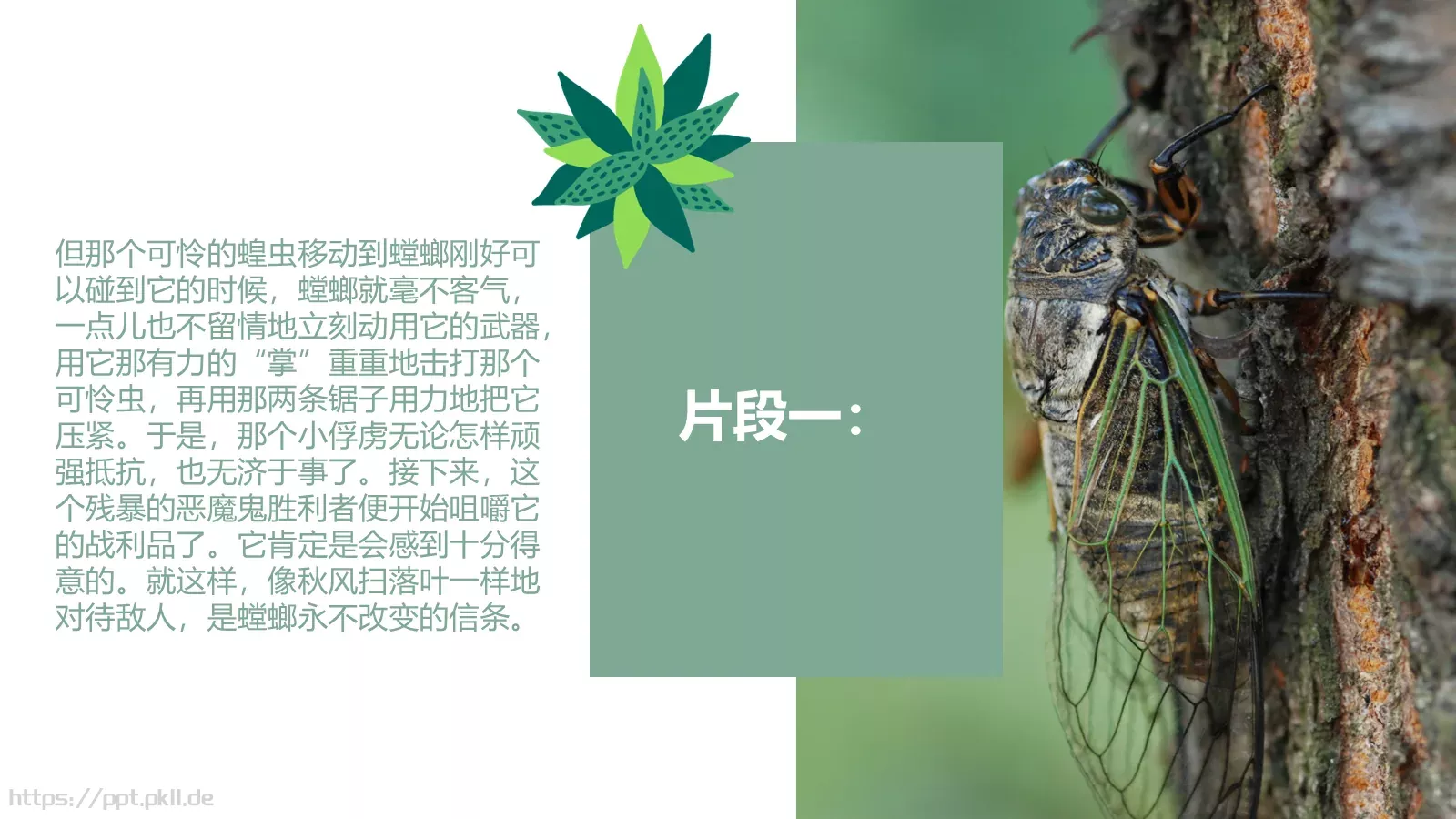读书分享PPT模板 第 12 页预览图