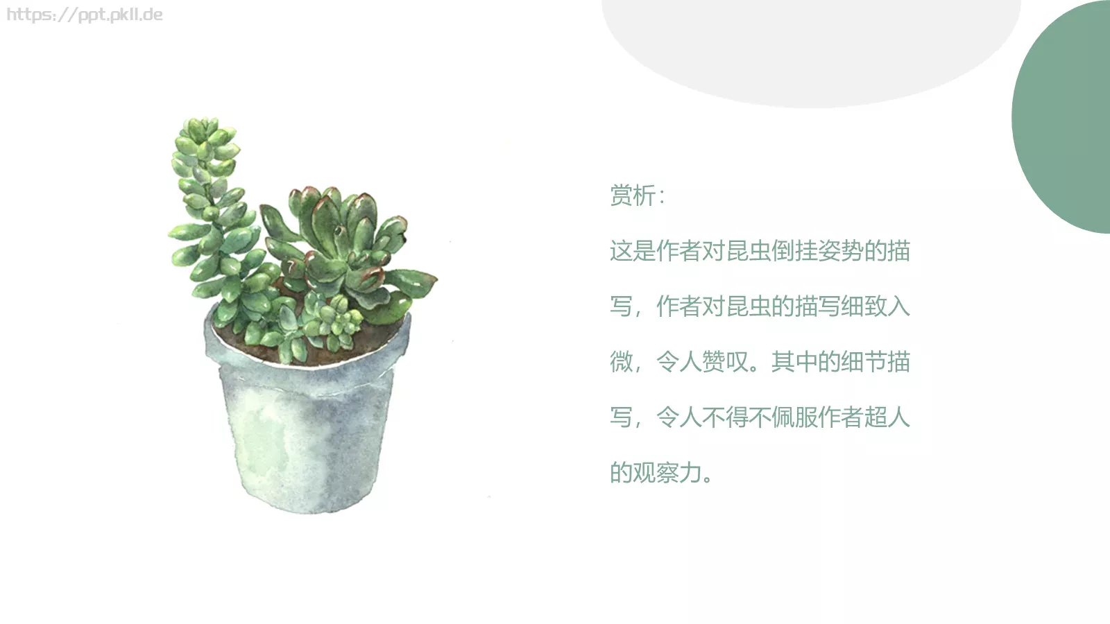 读书分享PPT模板 第 15 页预览图