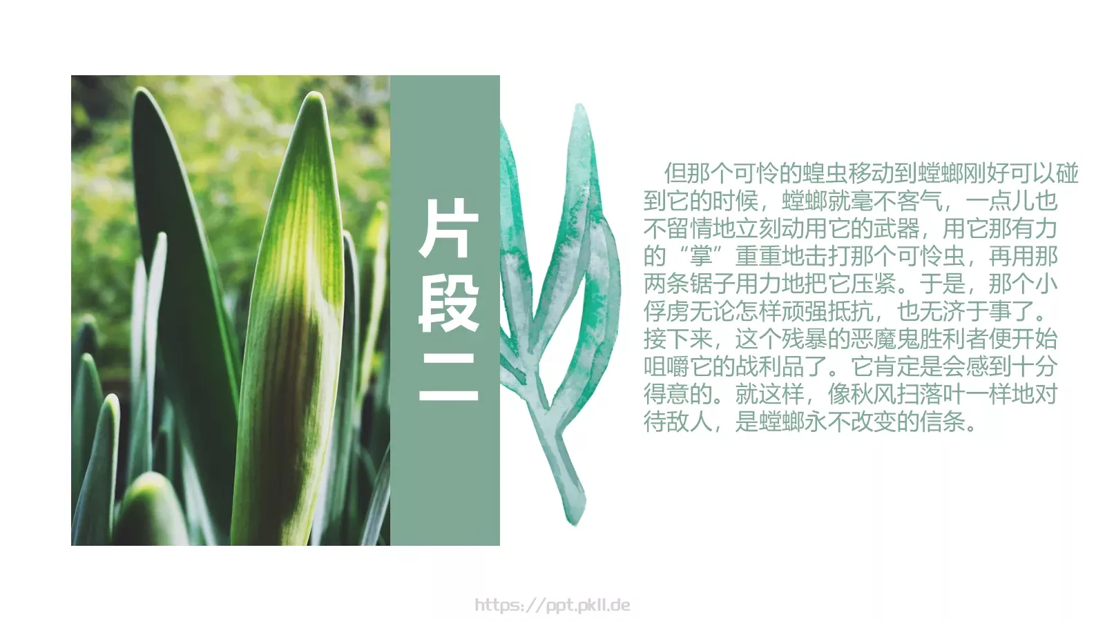 读书分享PPT模板 第 14 页预览图