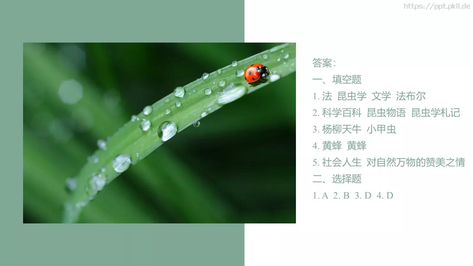 读书分享PPT模板 第 20 页预览图