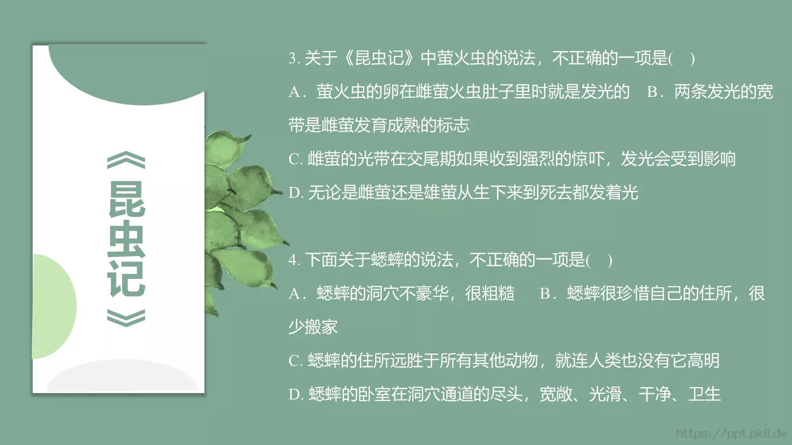 读书分享PPT模板 第 19 页预览图