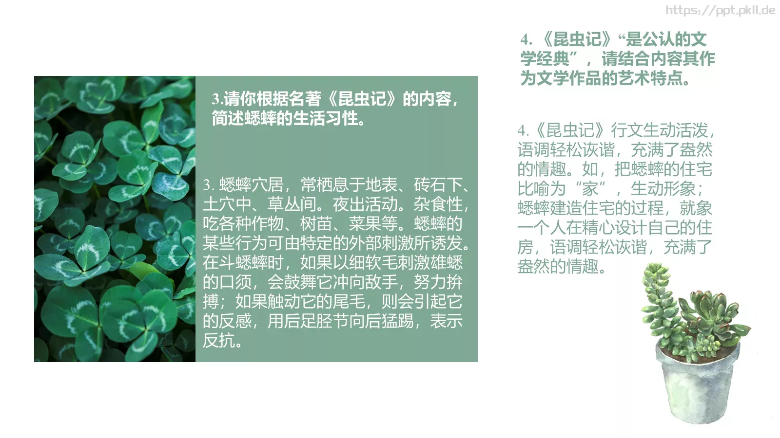 读书分享PPT模板 第 24 页预览图