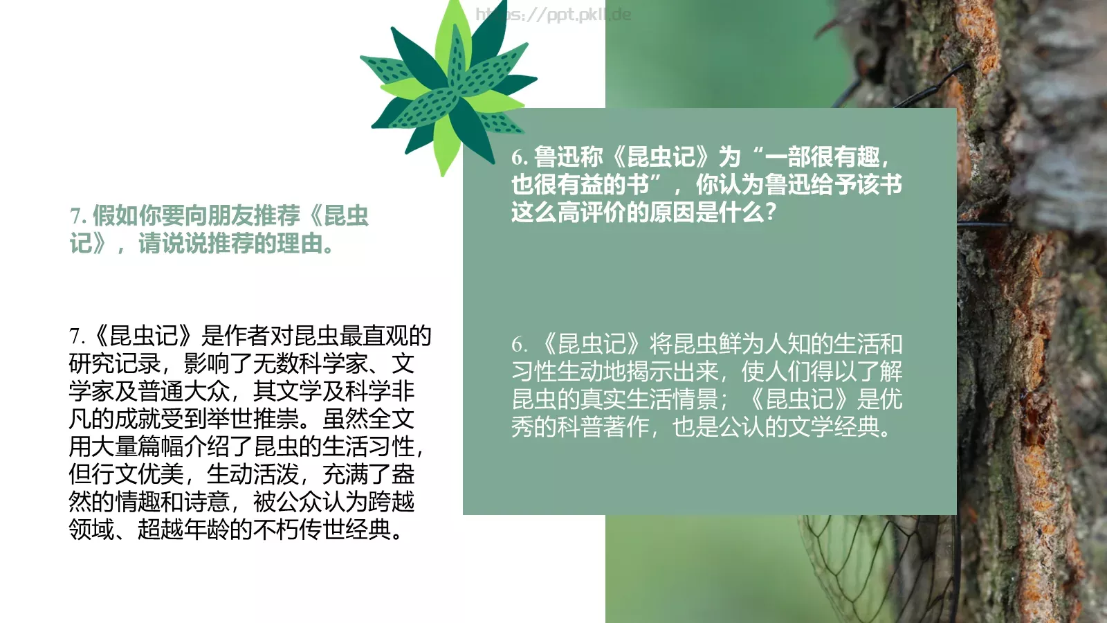 读书分享PPT模板 第 27 页预览图