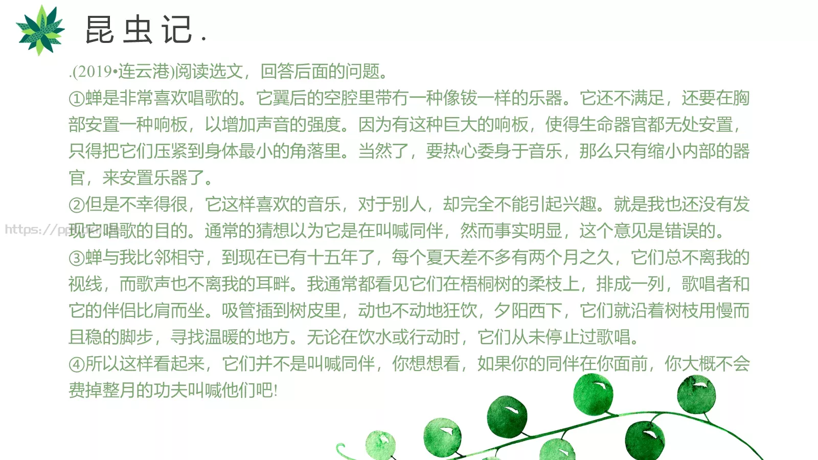 读书分享PPT模板 第 30 页预览图