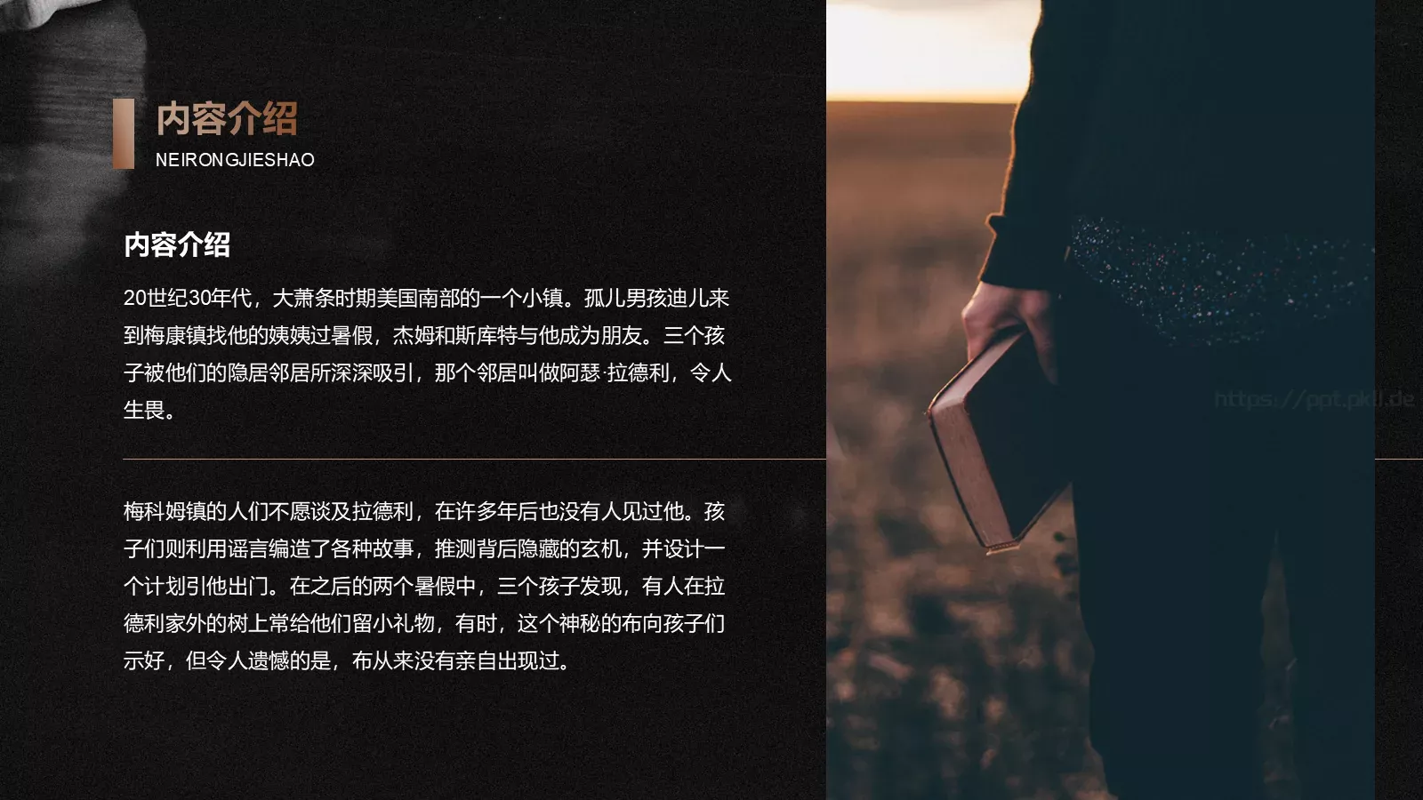 《杀死一只知更鸟》读书笔记阅读分享PPT模板 第 10 页预览图