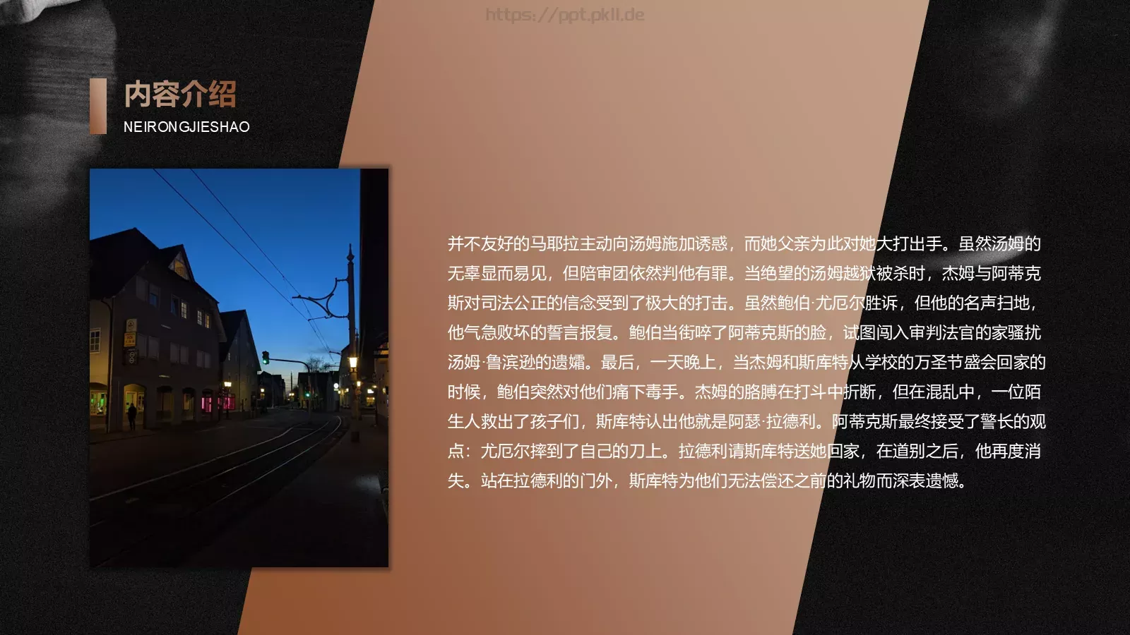 《杀死一只知更鸟》读书笔记阅读分享PPT模板 第 12 页预览图
