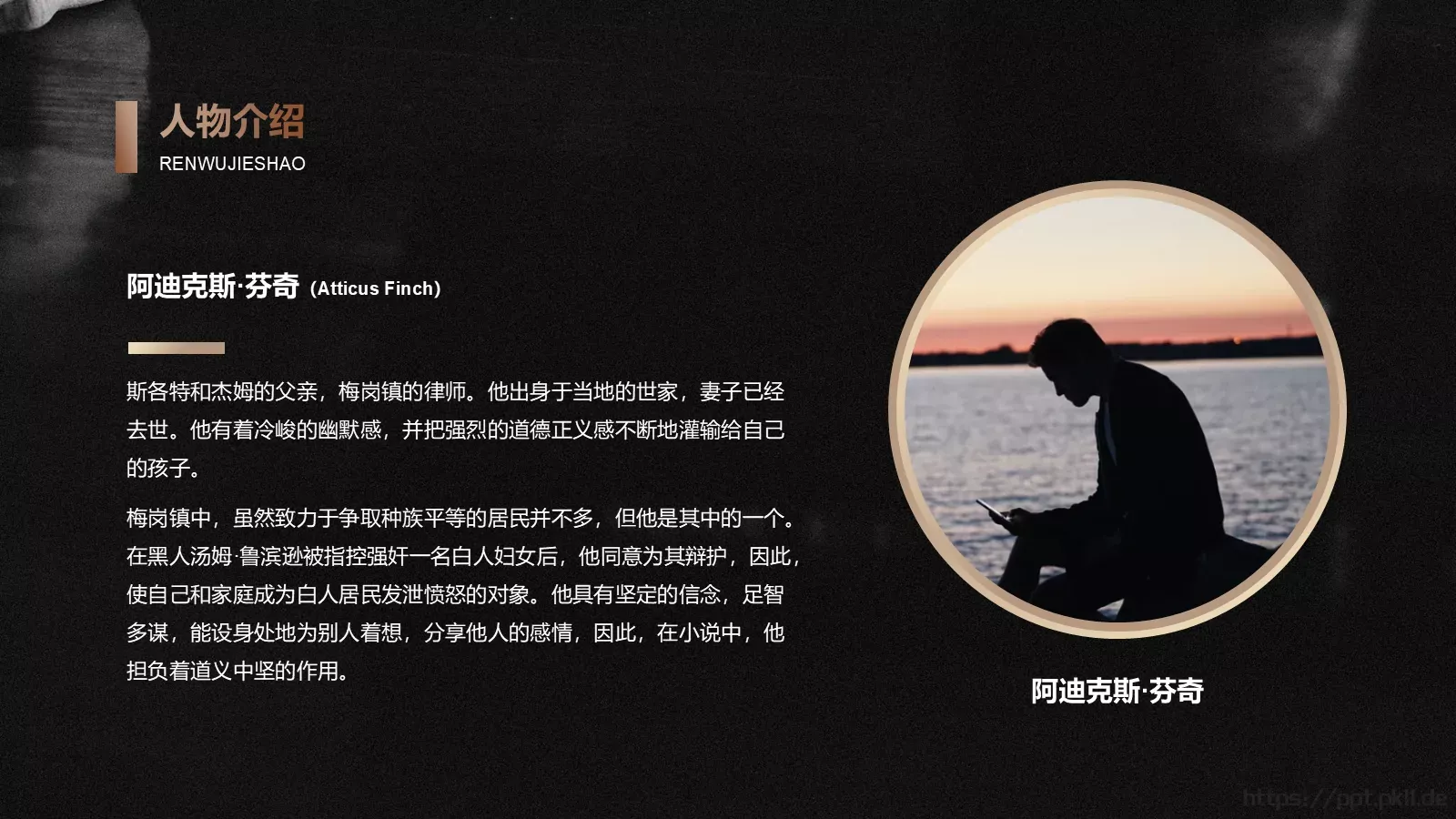《杀死一只知更鸟》读书笔记阅读分享PPT模板 第 18 页预览图