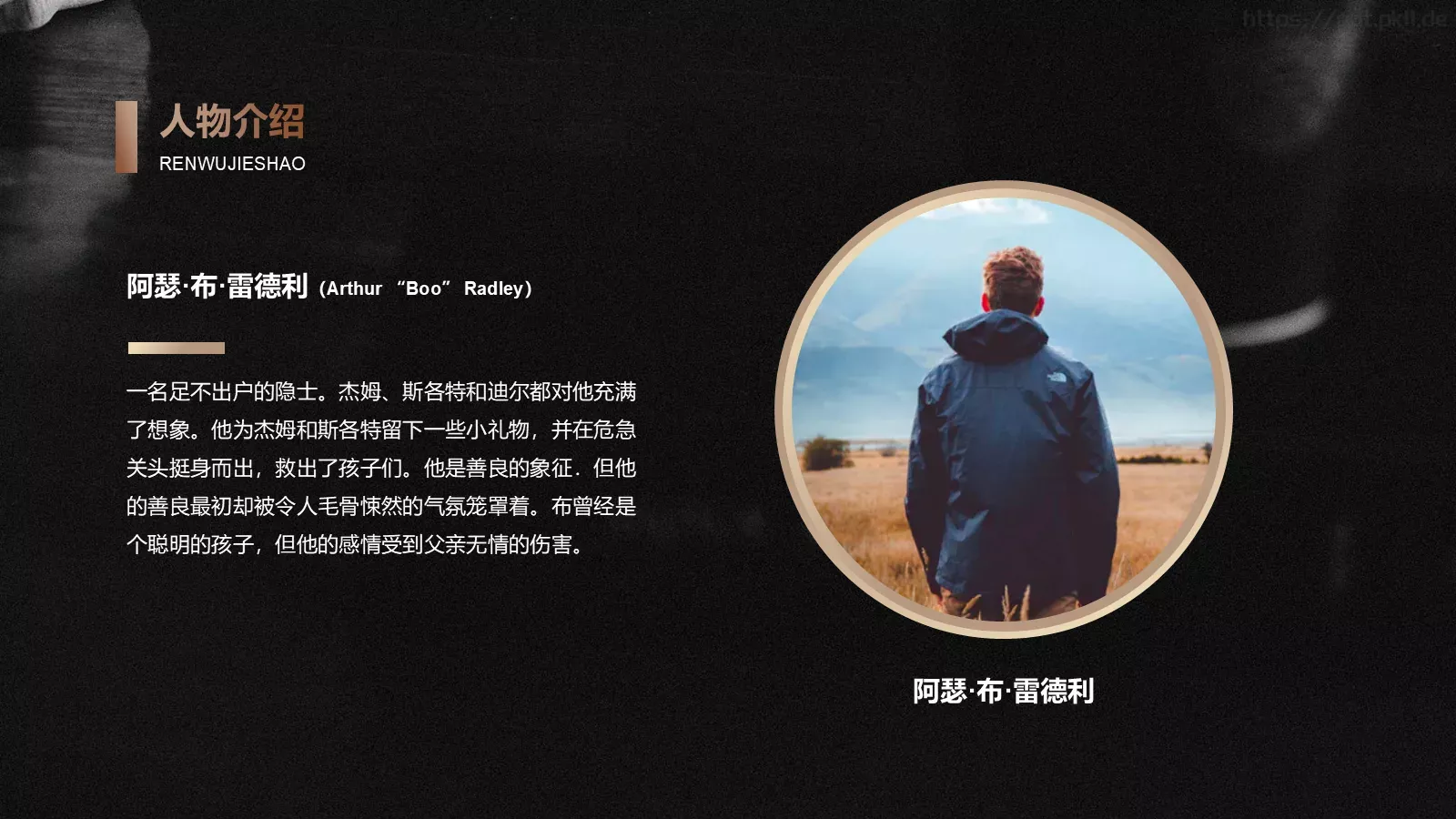 《杀死一只知更鸟》读书笔记阅读分享PPT模板 第 20 页预览图