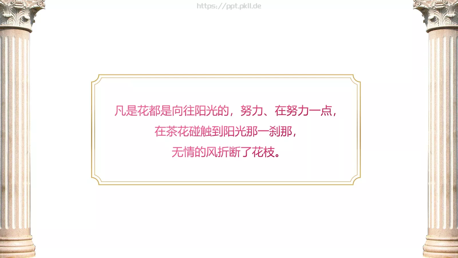 《茶花女》读书笔记PPT模板 第 2 页缩略图