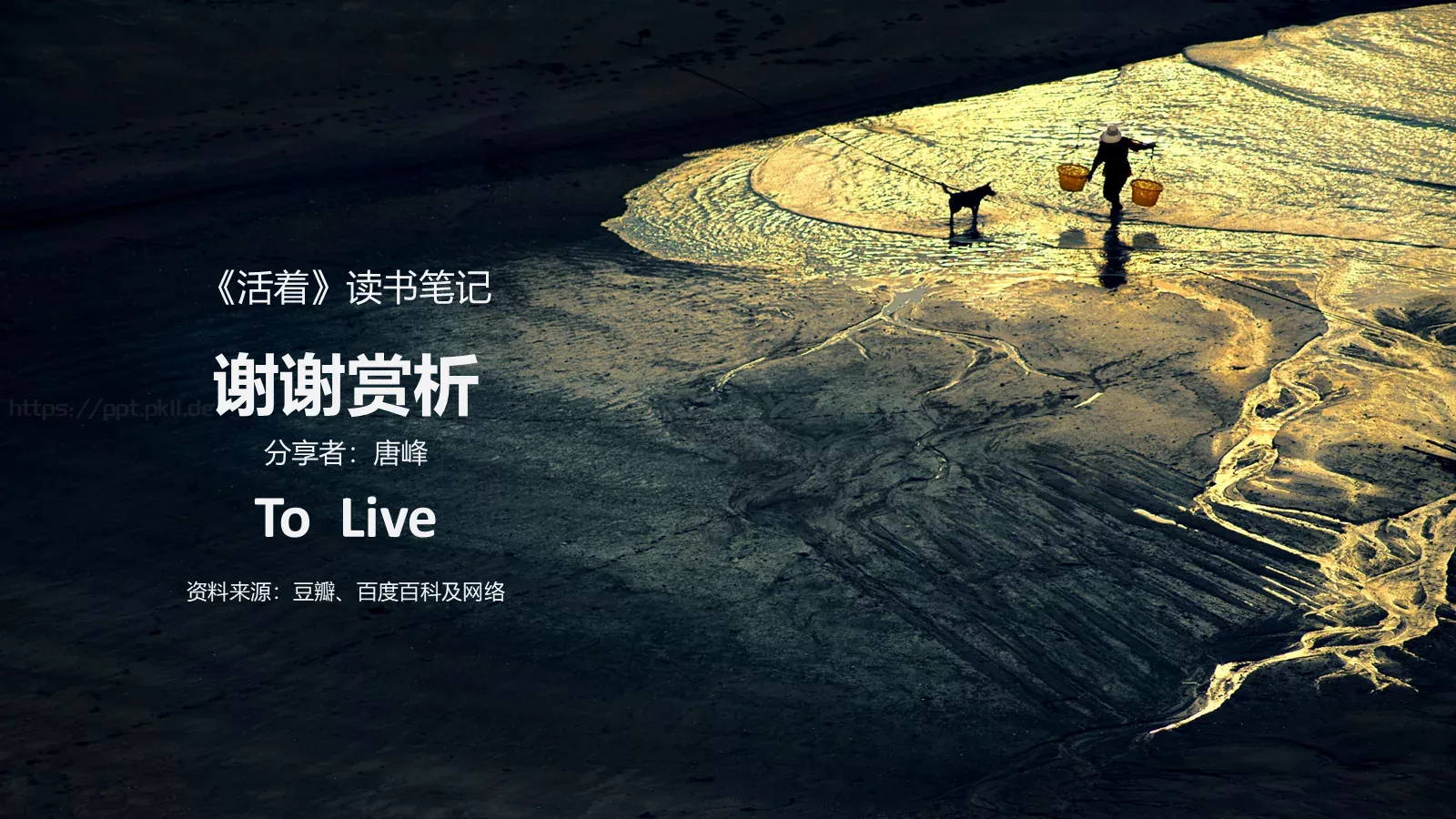 读书笔记PPT模板 第 15 页预览图