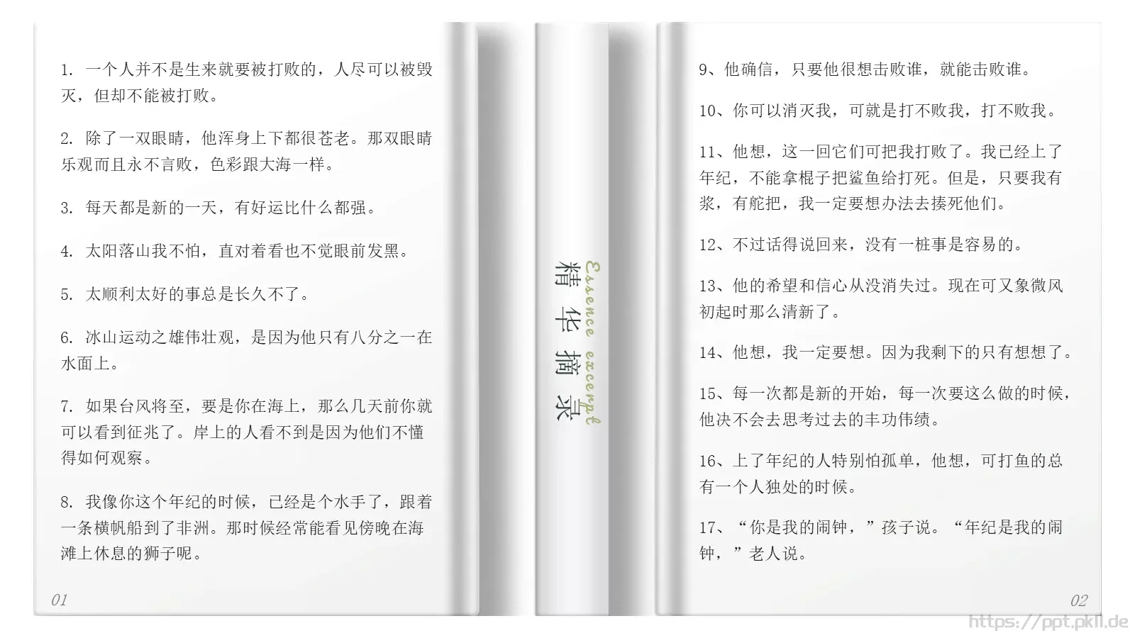 欧内斯特商务汇报PPT模板 第 16 页预览图