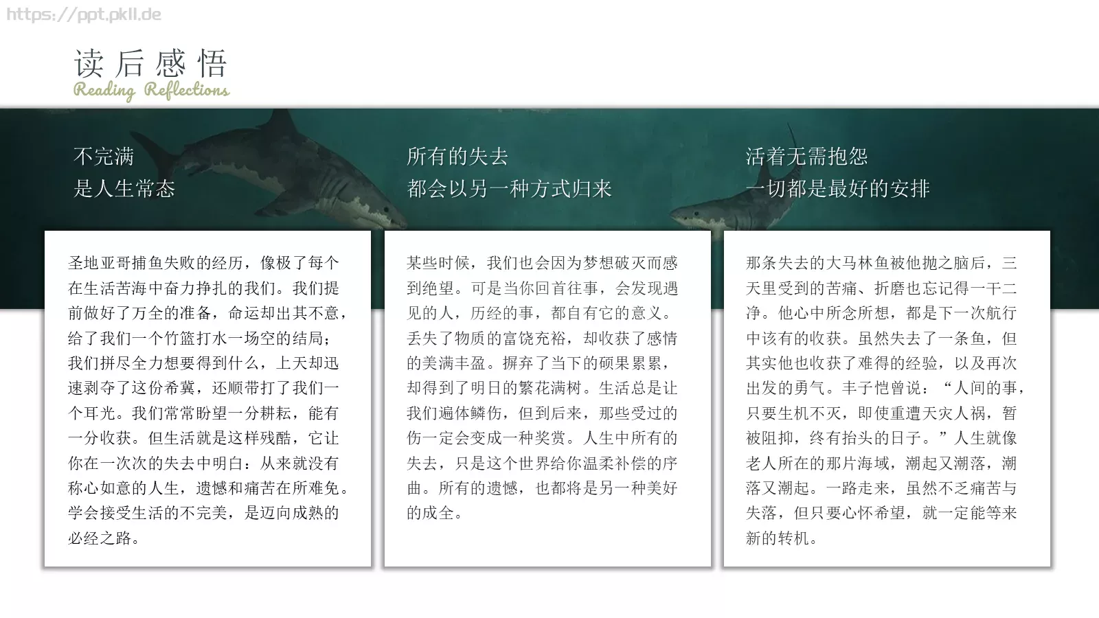 欧内斯特商务汇报PPT模板 第 20 页预览图