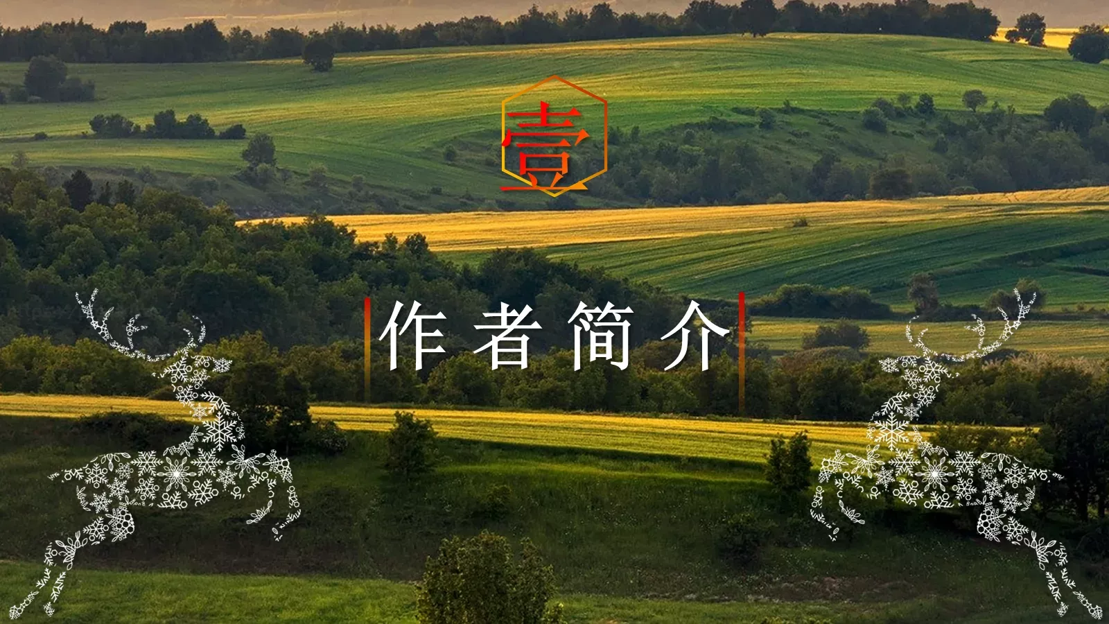 商务汇报PPT模板 第 3 页缩略图