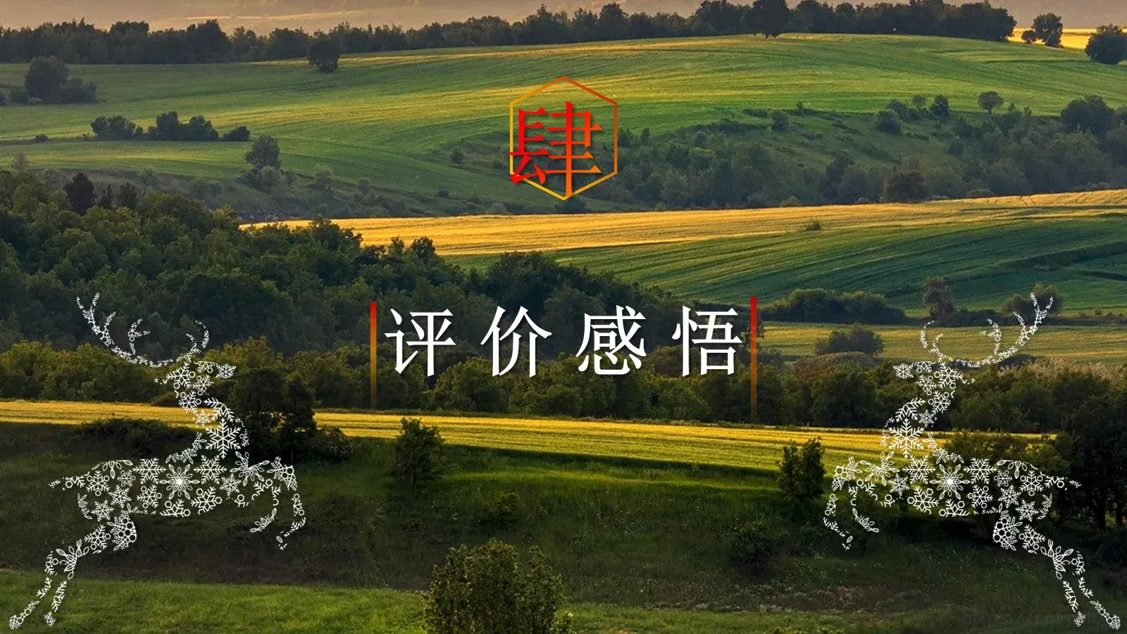 商务汇报PPT模板 第 14 页预览图