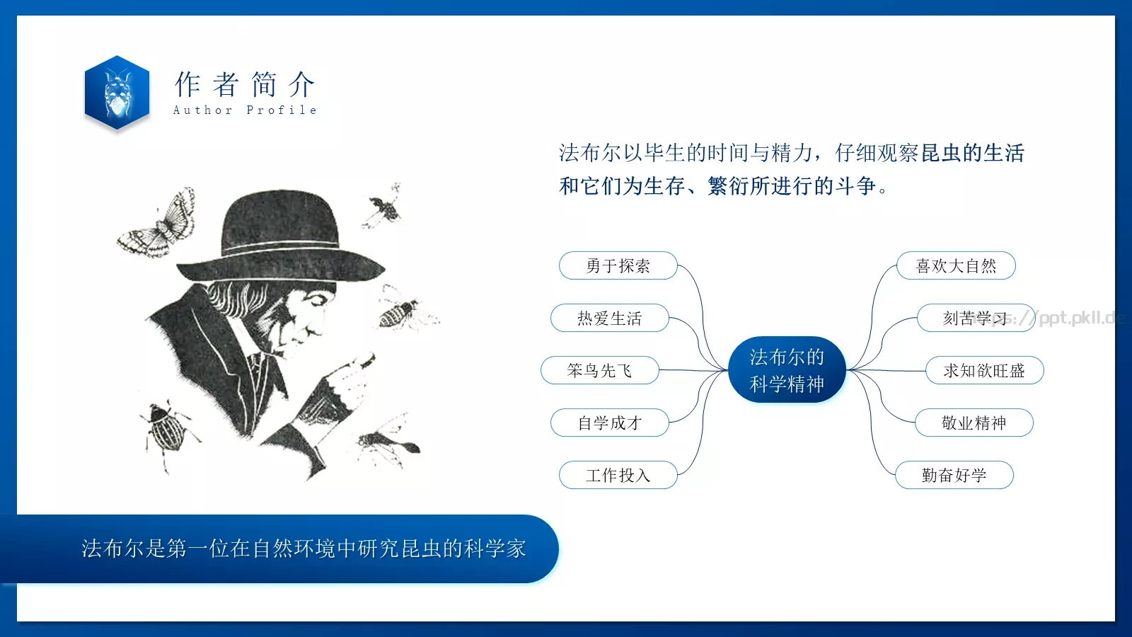 商务汇报通用PPT模板 第 5 页预览图