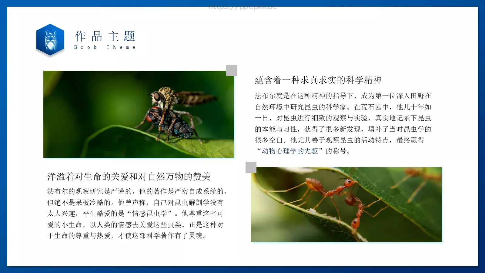 商务汇报通用PPT模板 第 11 页预览图