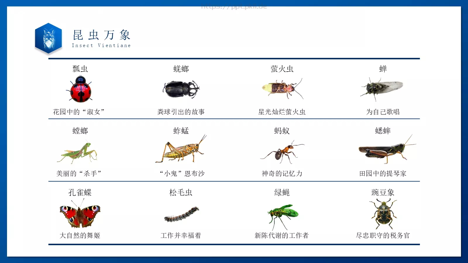 商务汇报通用PPT模板 第 13 页预览图
