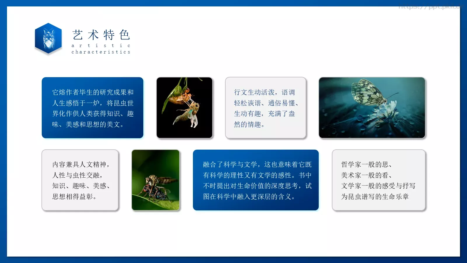 商务汇报通用PPT模板 第 12 页预览图