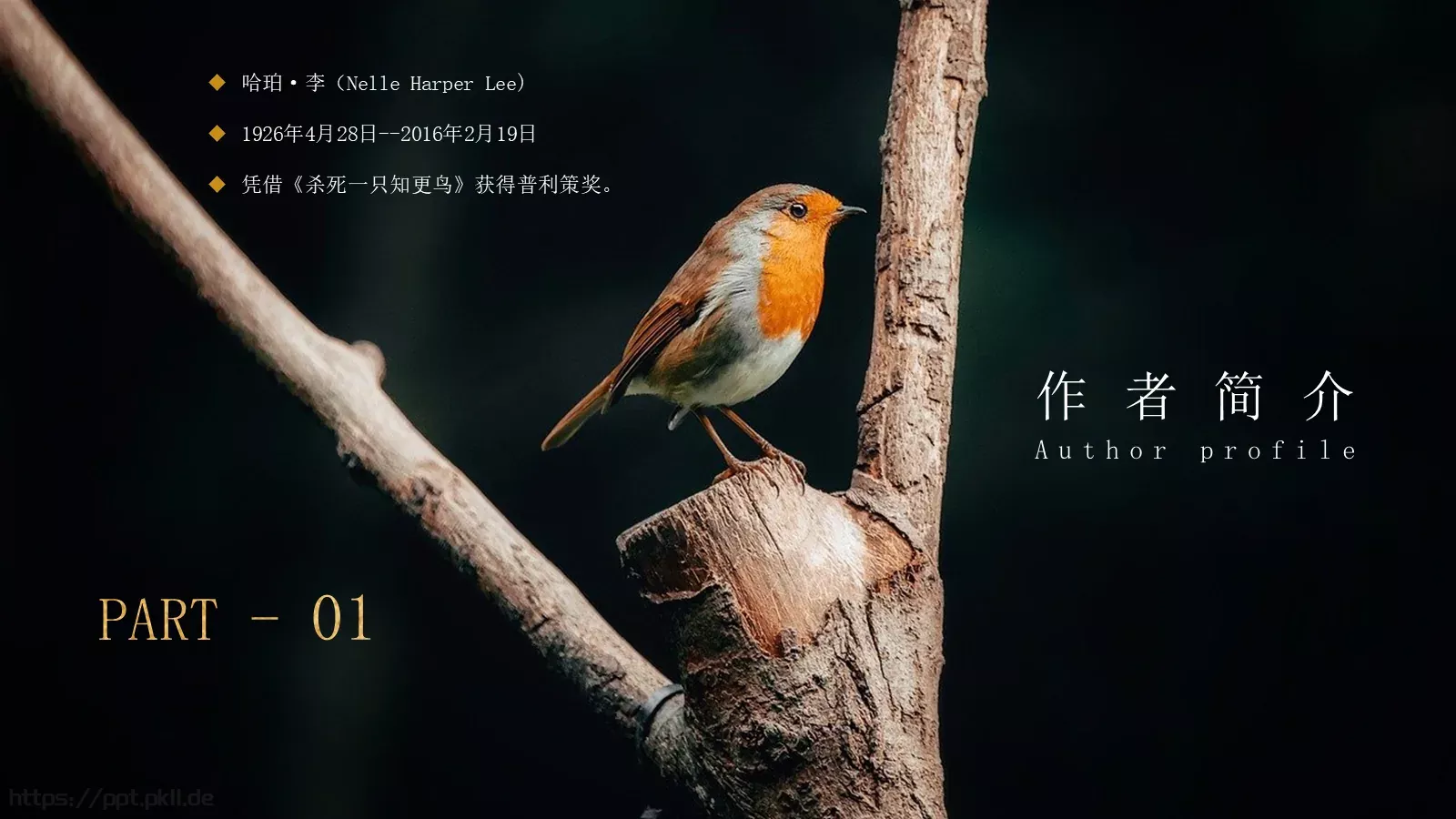 杀死一只知更鸟PPT模板 第 3 页缩略图
