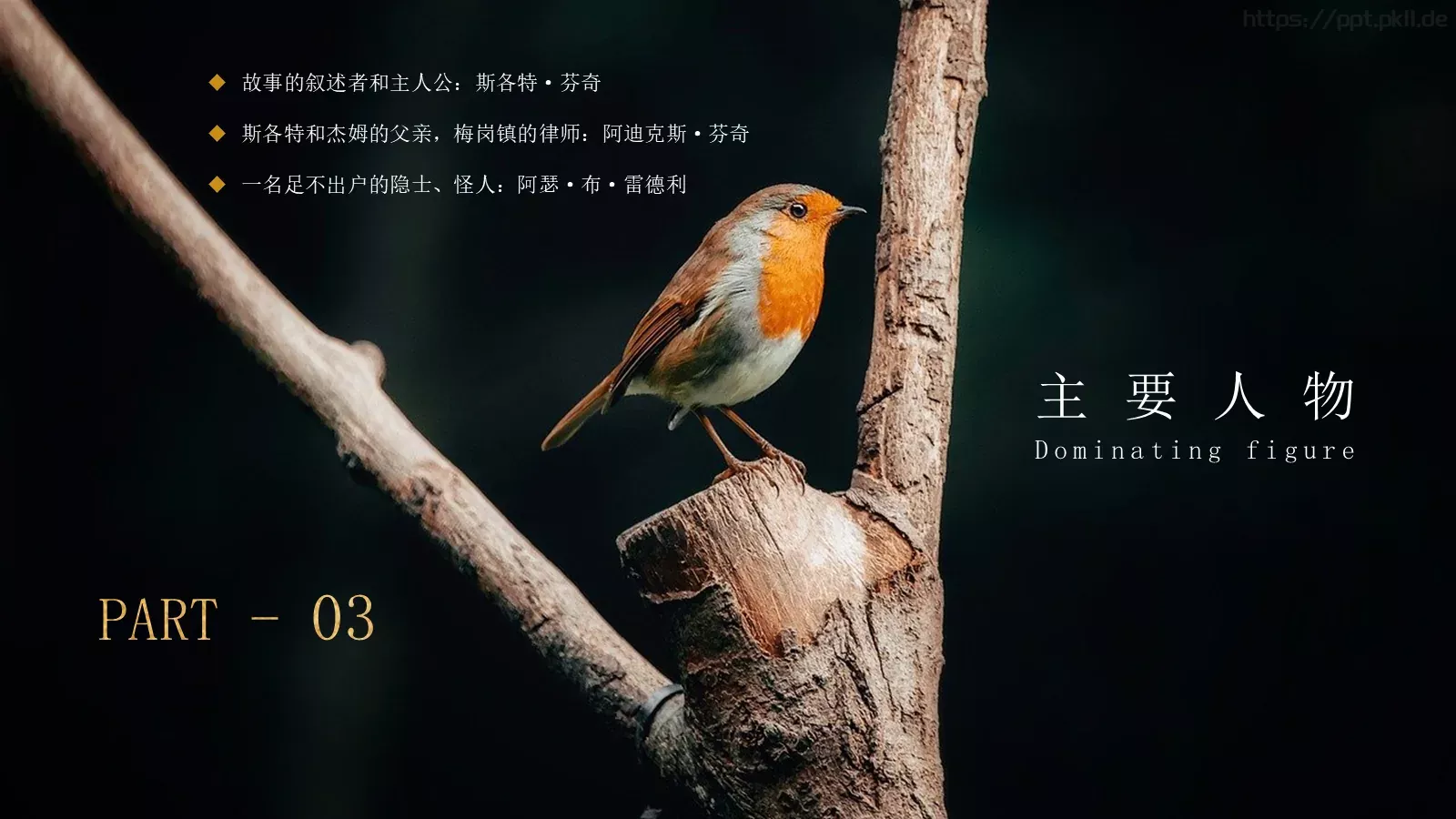 杀死一只知更鸟PPT模板 第 10 页预览图