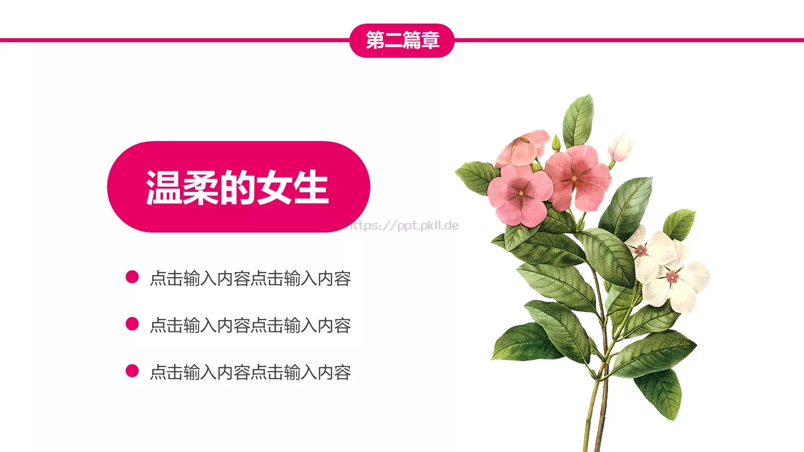 女生节快乐PPT模板 第 12 页预览图